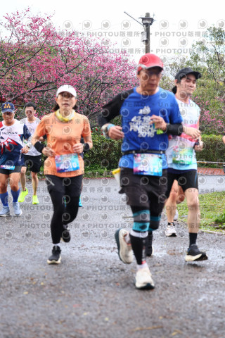 2026左岸竹東櫻花馬拉松Zhudong Sakura Marathon