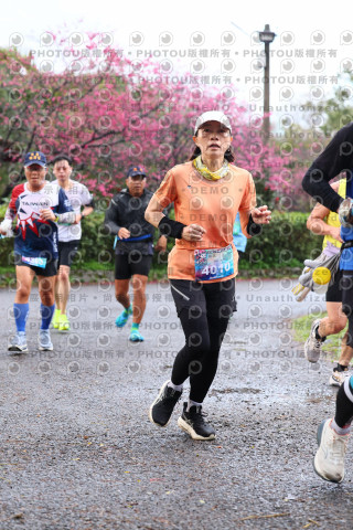 2026左岸竹東櫻花馬拉松Zhudong Sakura Marathon