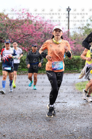 2026左岸竹東櫻花馬拉松Zhudong Sakura Marathon