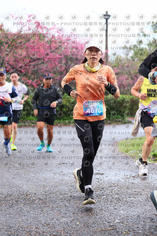 2026左岸竹東櫻花馬拉松Zhudong Sakura Marathon