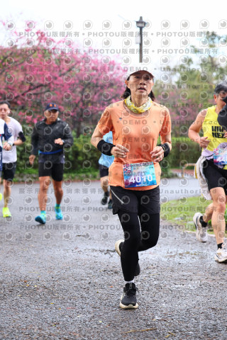 2026左岸竹東櫻花馬拉松Zhudong Sakura Marathon