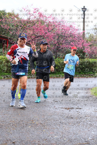 2026左岸竹東櫻花馬拉松Zhudong Sakura Marathon
