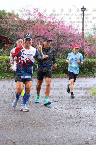 2026左岸竹東櫻花馬拉松Zhudong Sakura Marathon
