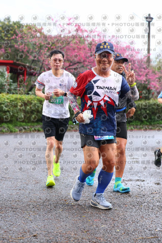 2026左岸竹東櫻花馬拉松Zhudong Sakura Marathon