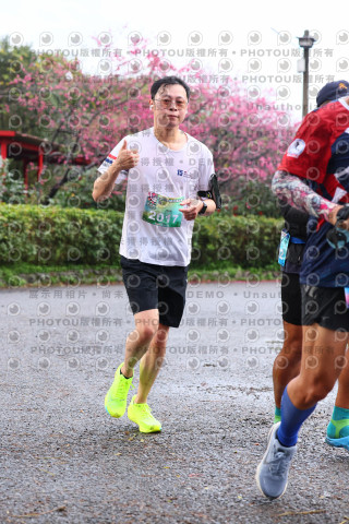 2026左岸竹東櫻花馬拉松Zhudong Sakura Marathon
