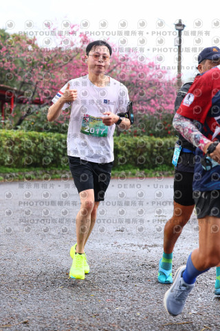 2026左岸竹東櫻花馬拉松Zhudong Sakura Marathon