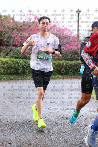 2026左岸竹東櫻花馬拉松Zhudong Sakura Marathon