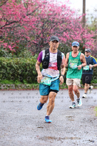 2026左岸竹東櫻花馬拉松Zhudong Sakura Marathon