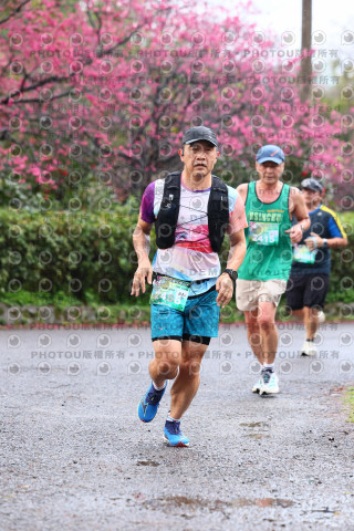 2026左岸竹東櫻花馬拉松Zhudong Sakura Marathon