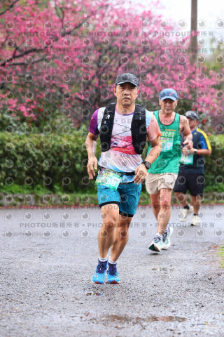 2026左岸竹東櫻花馬拉松Zhudong Sakura Marathon