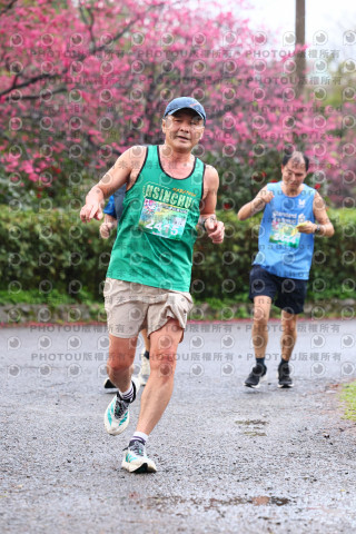 2026左岸竹東櫻花馬拉松Zhudong Sakura Marathon