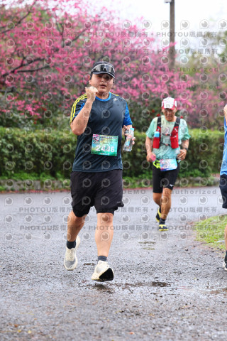 2026左岸竹東櫻花馬拉松Zhudong Sakura Marathon