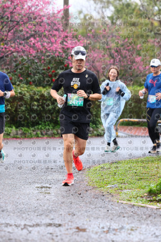 2026左岸竹東櫻花馬拉松Zhudong Sakura Marathon
