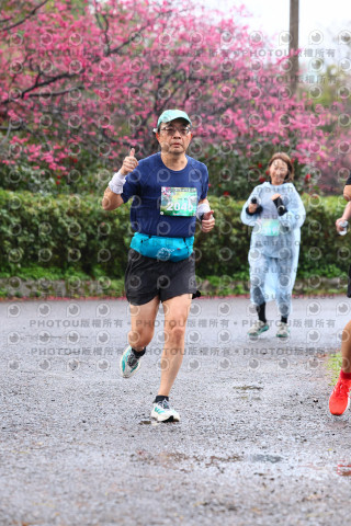 2026左岸竹東櫻花馬拉松Zhudong Sakura Marathon