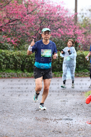 2026左岸竹東櫻花馬拉松Zhudong Sakura Marathon