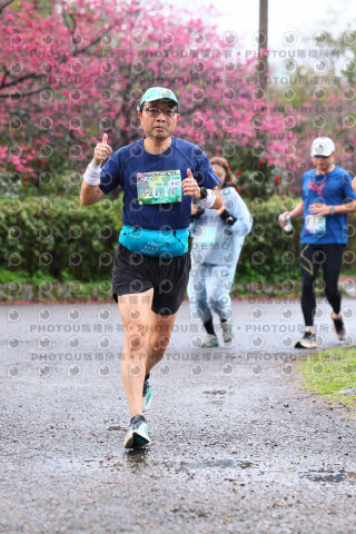 2026左岸竹東櫻花馬拉松Zhudong Sakura Marathon