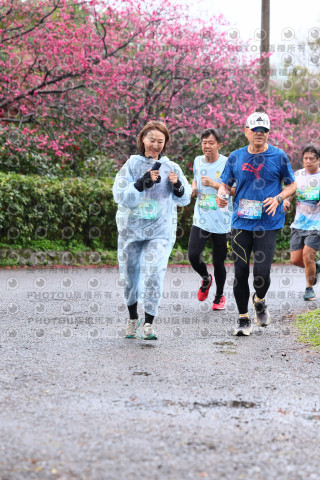 2026左岸竹東櫻花馬拉松Zhudong Sakura Marathon