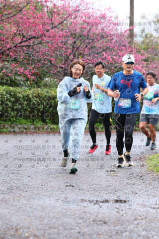 2026左岸竹東櫻花馬拉松Zhudong Sakura Marathon