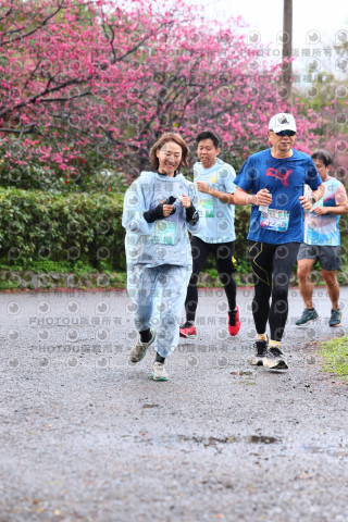 2026左岸竹東櫻花馬拉松Zhudong Sakura Marathon