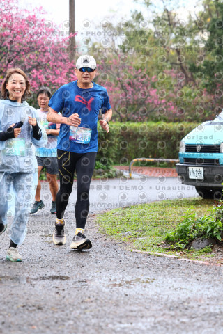 2026左岸竹東櫻花馬拉松Zhudong Sakura Marathon