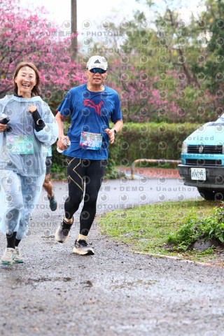 2026左岸竹東櫻花馬拉松Zhudong Sakura Marathon