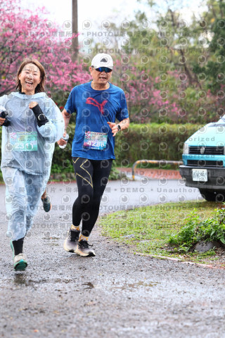 2026左岸竹東櫻花馬拉松Zhudong Sakura Marathon