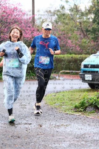 2026左岸竹東櫻花馬拉松Zhudong Sakura Marathon