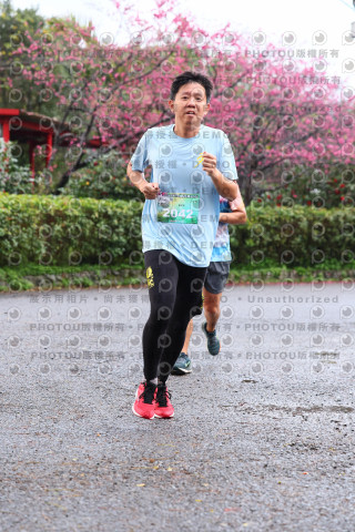 2026左岸竹東櫻花馬拉松Zhudong Sakura Marathon