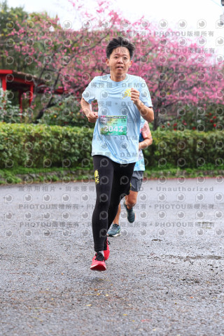 2026左岸竹東櫻花馬拉松Zhudong Sakura Marathon