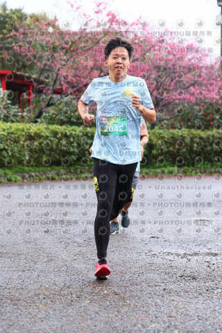 2026左岸竹東櫻花馬拉松Zhudong Sakura Marathon
