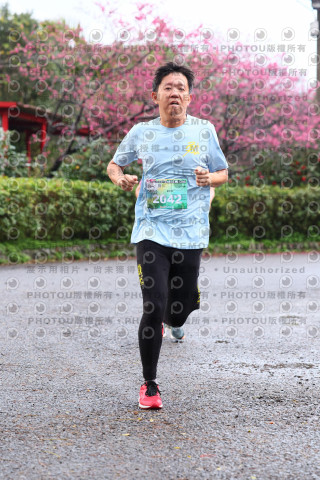 2026左岸竹東櫻花馬拉松Zhudong Sakura Marathon
