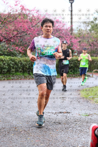 2026左岸竹東櫻花馬拉松Zhudong Sakura Marathon