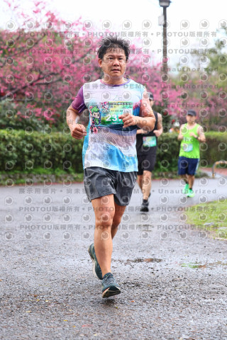 2026左岸竹東櫻花馬拉松Zhudong Sakura Marathon