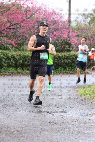 2026左岸竹東櫻花馬拉松Zhudong Sakura Marathon
