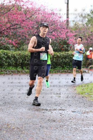 2026左岸竹東櫻花馬拉松Zhudong Sakura Marathon