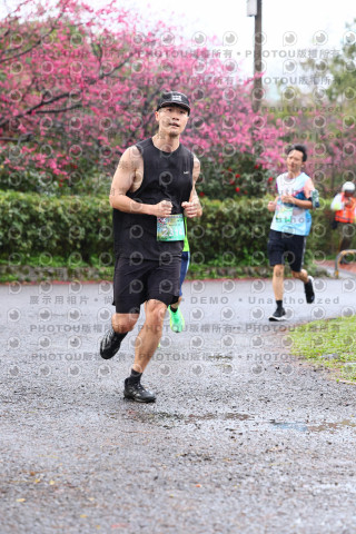 2026左岸竹東櫻花馬拉松Zhudong Sakura Marathon