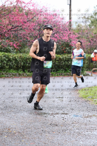 2026左岸竹東櫻花馬拉松Zhudong Sakura Marathon
