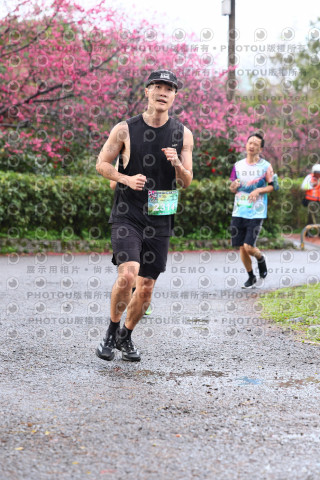 2026左岸竹東櫻花馬拉松Zhudong Sakura Marathon