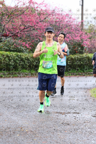 2026左岸竹東櫻花馬拉松Zhudong Sakura Marathon