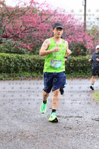 2026左岸竹東櫻花馬拉松Zhudong Sakura Marathon