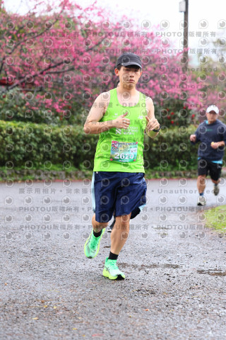 2026左岸竹東櫻花馬拉松Zhudong Sakura Marathon
