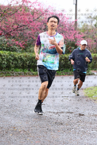 2026左岸竹東櫻花馬拉松Zhudong Sakura Marathon