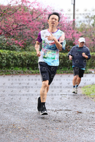2026左岸竹東櫻花馬拉松Zhudong Sakura Marathon