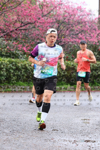 2026左岸竹東櫻花馬拉松Zhudong Sakura Marathon
