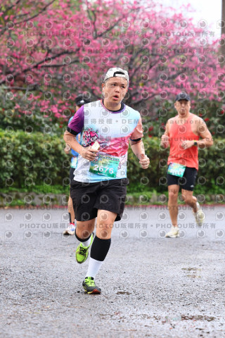 2026左岸竹東櫻花馬拉松Zhudong Sakura Marathon