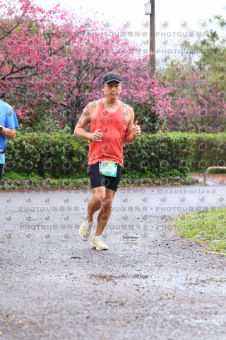 2026左岸竹東櫻花馬拉松Zhudong Sakura Marathon