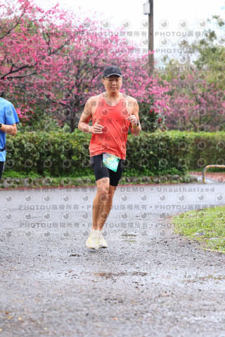 2026左岸竹東櫻花馬拉松Zhudong Sakura Marathon