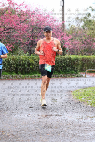 2026左岸竹東櫻花馬拉松Zhudong Sakura Marathon