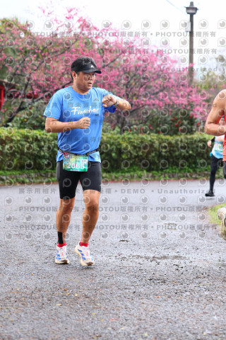 2026左岸竹東櫻花馬拉松Zhudong Sakura Marathon