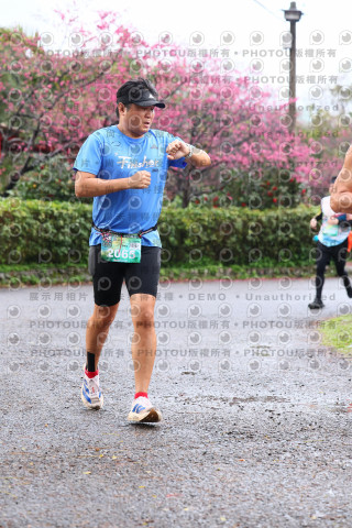 2026左岸竹東櫻花馬拉松Zhudong Sakura Marathon